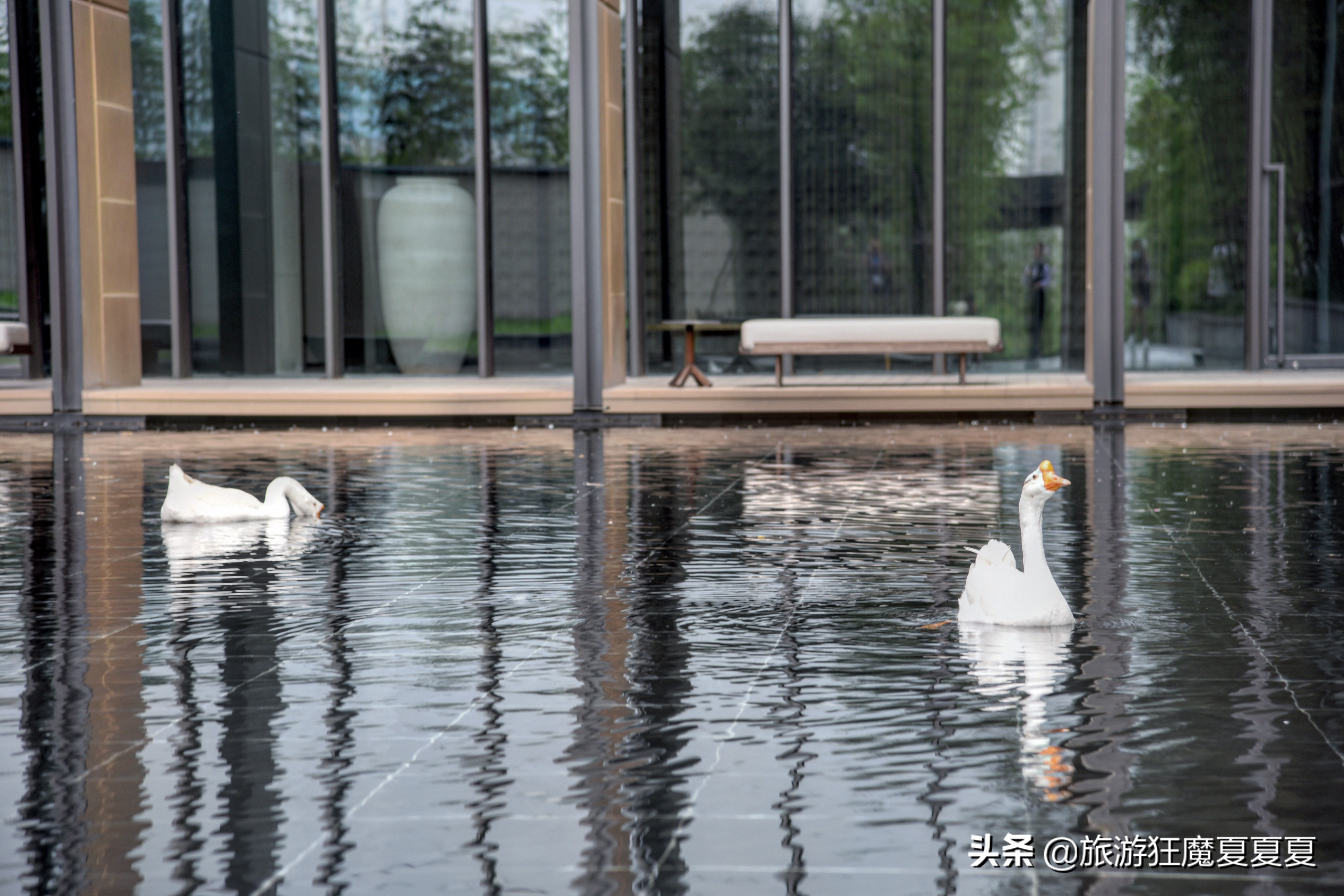 南京适合亲子聚餐地,南京适合亲子活动度假村