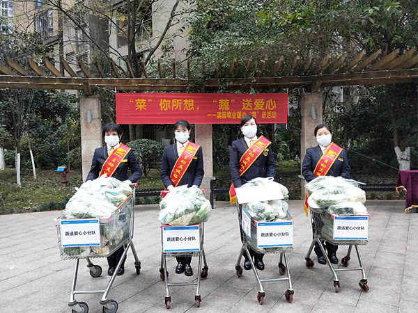 重庆：建筑村社区奥园金域小区921户业主收到蔬菜大礼包