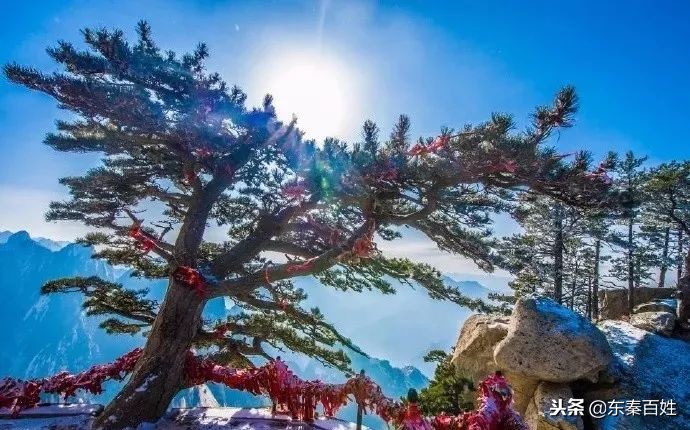 华山景区免费门票预约流程附入口,华山景区门票预约攻略最新