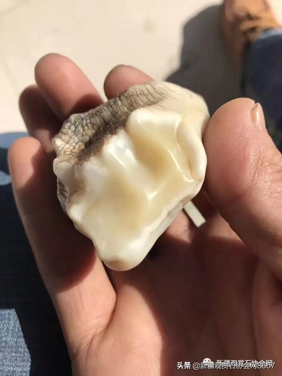 新疆戈壁精灵蛋白石,戈壁蛋白石怎么清洗