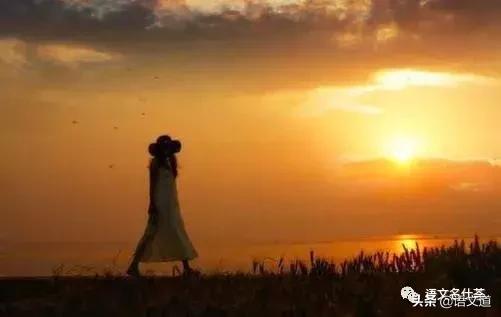 作文造句技巧大全,小学作文如何写好句子