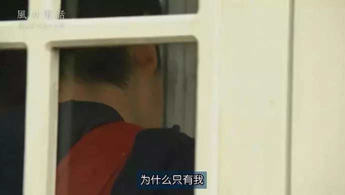 日本高分纪录片免费观看,日本的高分纪录片