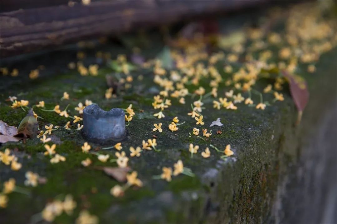 一入秋西安就美成长安,一入秋杭州就美成临安