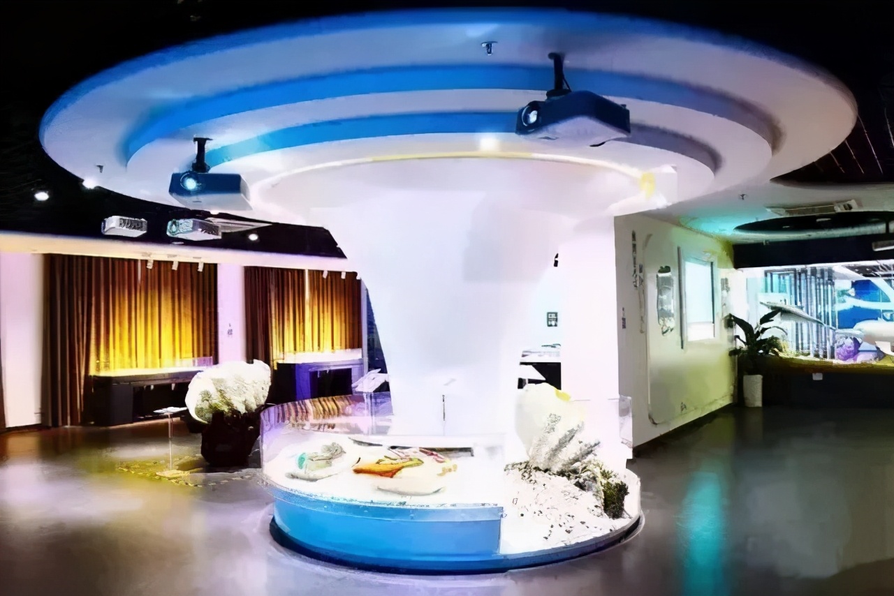 深圳免门票景点推荐,深圳市内近20个景点一票通玩