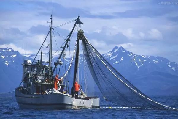 地球妈妈生病了故事,地球变暖冰川融化企鹅