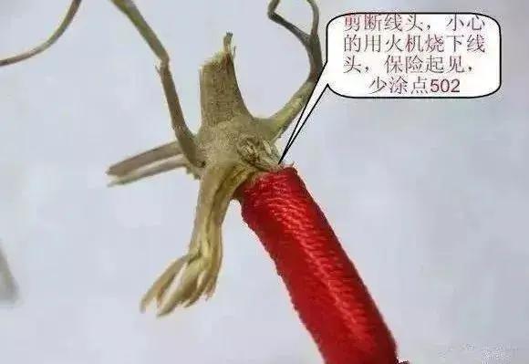 新葫芦龙头的处理方法,盘葫芦的龙头