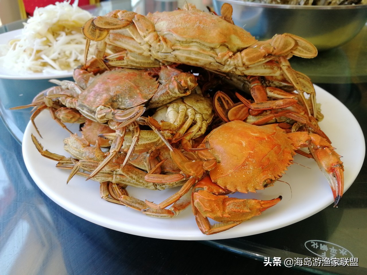 夏天哪凉快，来大连这个小岛，感受真正的夏季如春