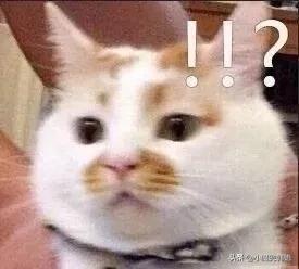 太脏了!原来这些韩语脏话不只是字面意思那么简单