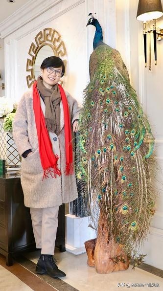 凰家品鉴,凰家品鉴团