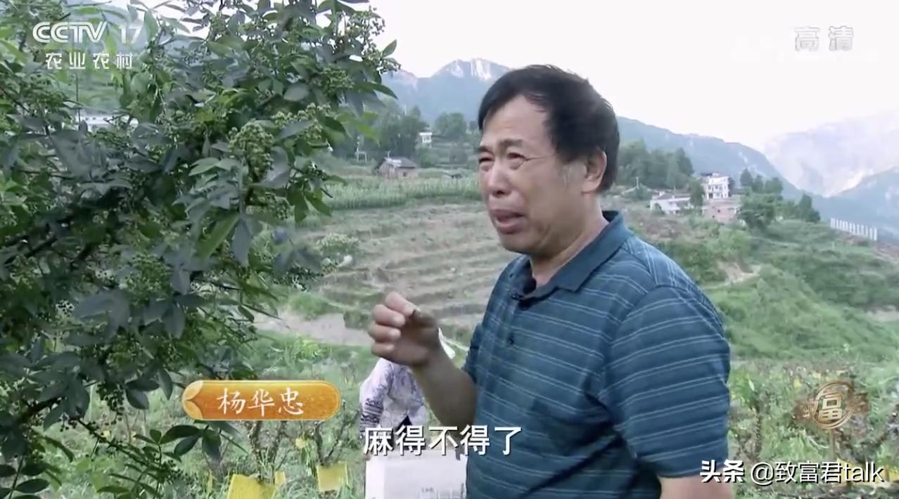 赚麻了：废蒸汽都能拿来赚钱