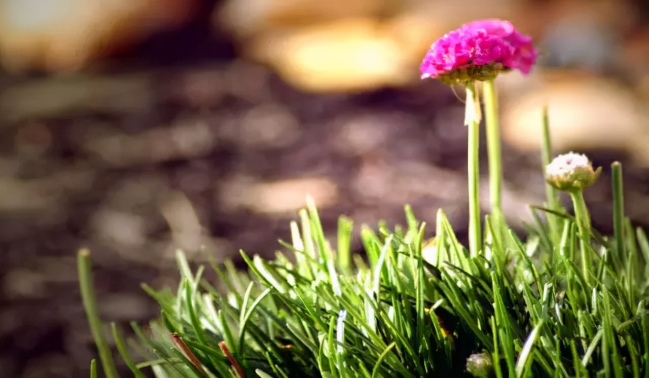 工作微信签名精辟句子,流行微信签名经典语句