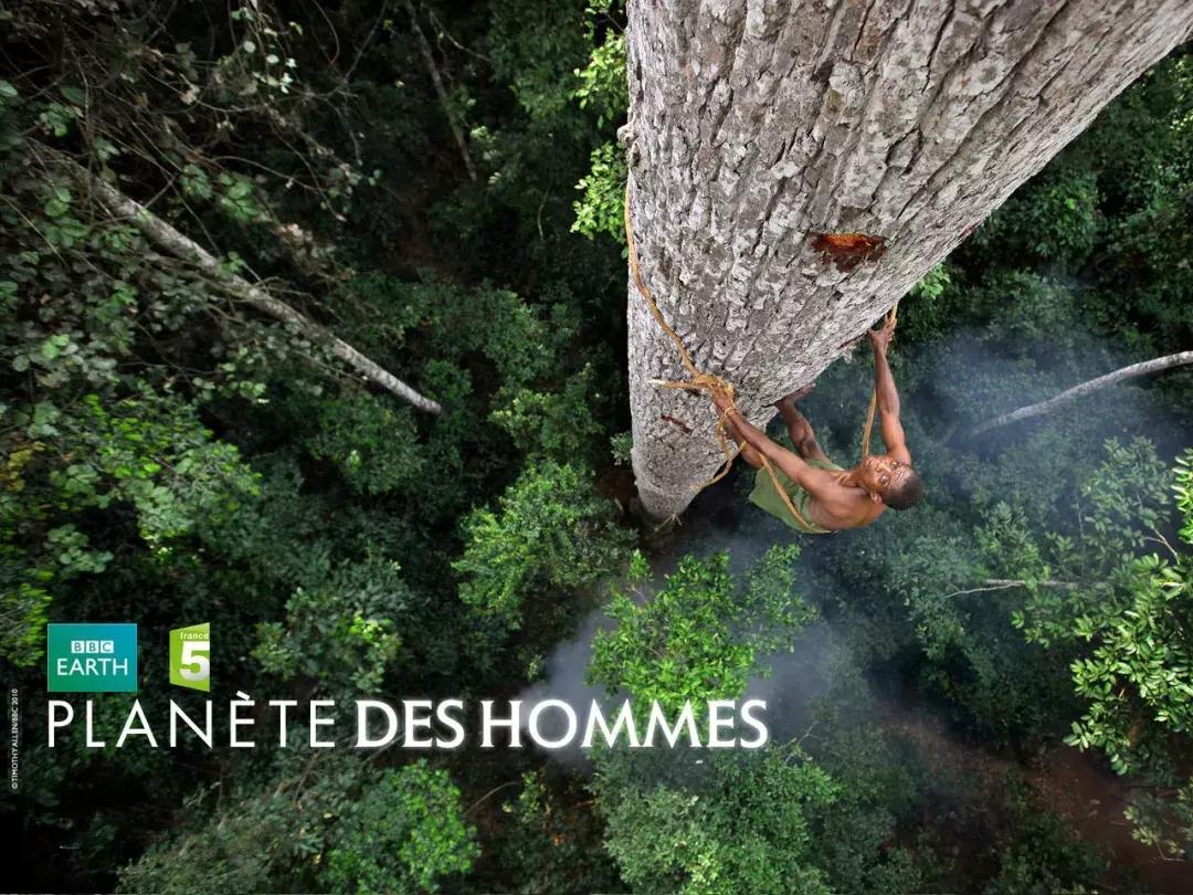 bbc高分精品纪录片极简主义,bbc纪录片推荐大片9.0以上评分