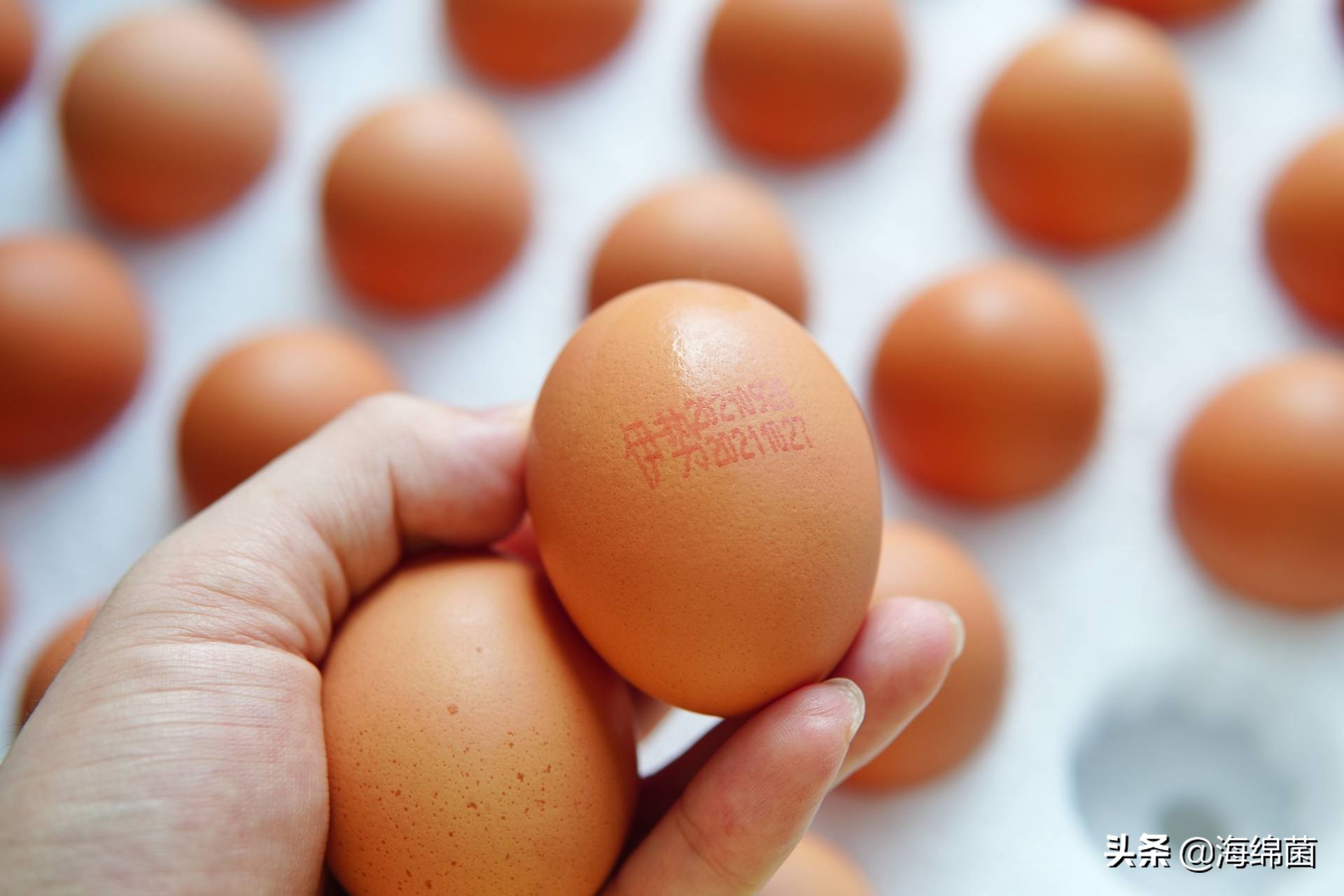 bolali博拉利多功能蒸汽料理锅,蒸汽桑拿锅测评