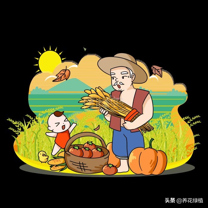 2021是辛丑年，俗语：“寡年不逢春，遇牛五谷登”，什么意思