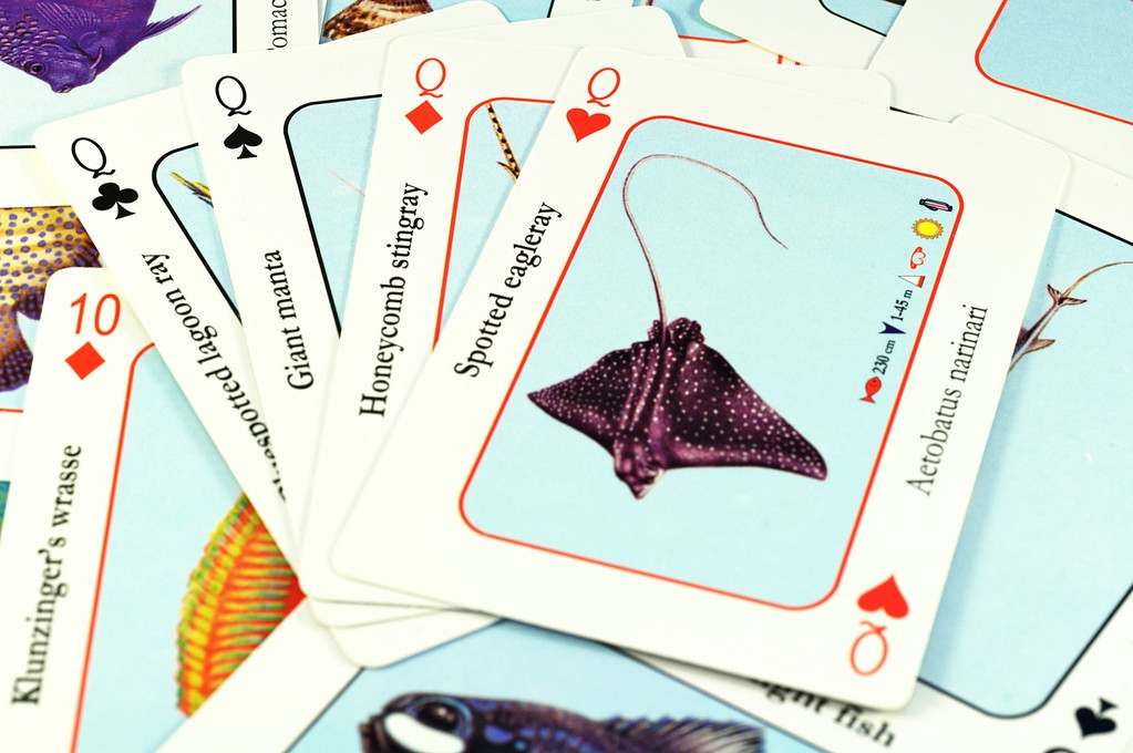 网文写作课程免费,网文写作素材如何分类