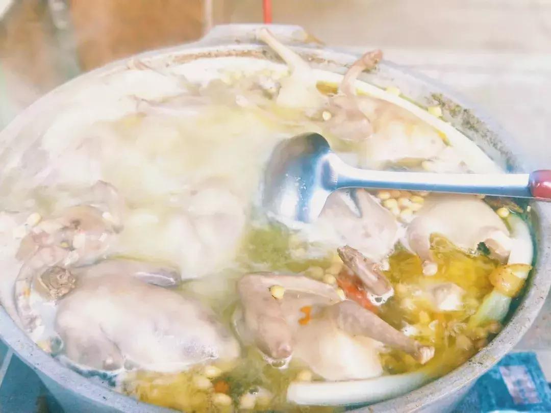 在*疆新**!你戴不了鸽子蛋,但喝得起鸽子汤!