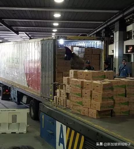 新加坡原装进口食品,在新加坡怎么进口食品