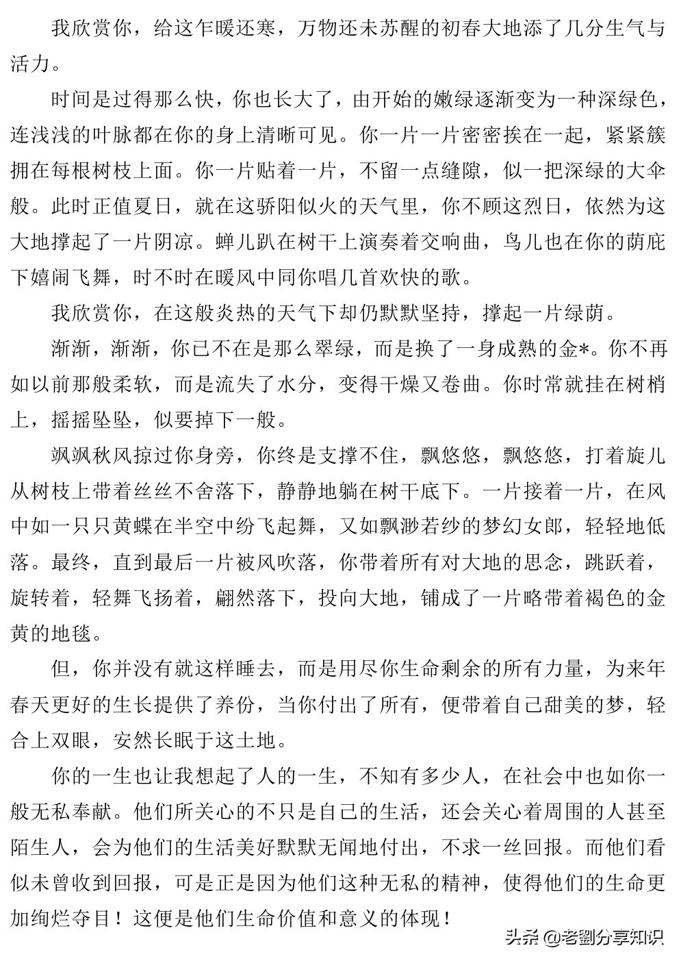 中考满分作文你的和我的,2018中考满分作文