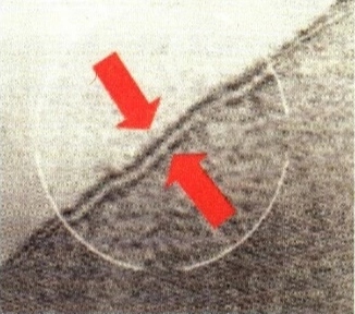 细胞质膜知识讲解,细胞膜成分和功能探索史