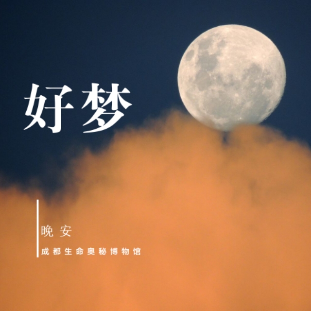 做梦一定是睡不好吗,你知道做梦是一种什么现象吗