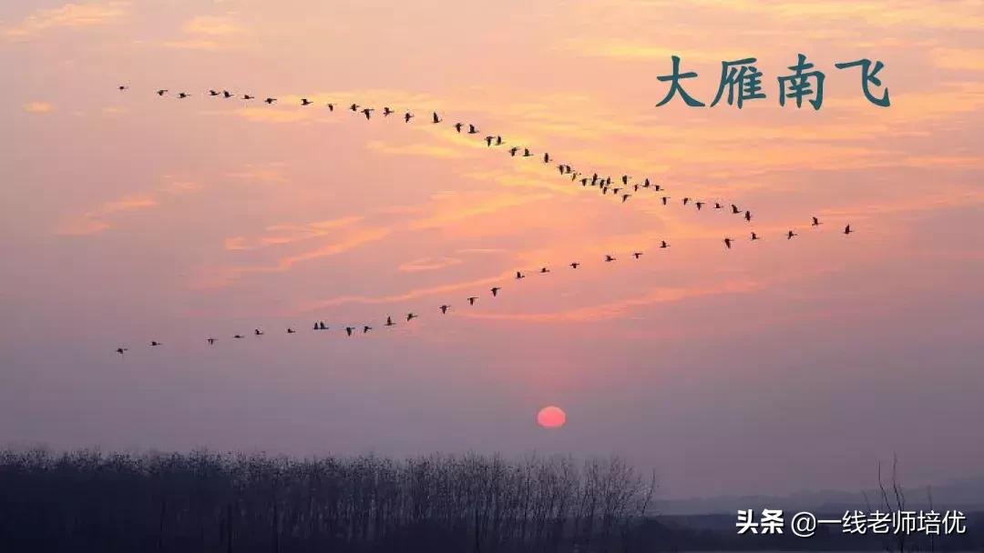 部编版语文第5单元三年级上册,部编版三年级语文上册第三单元