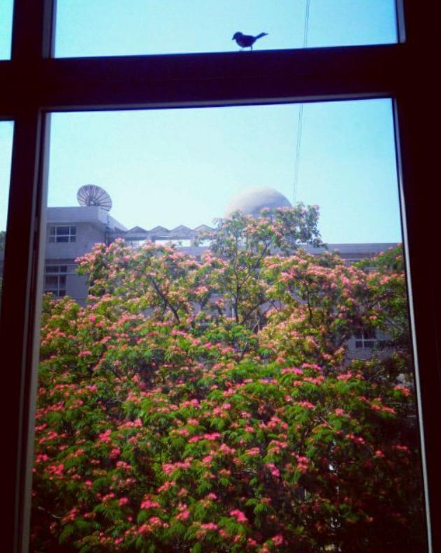 河北师大附中学校是干嘛的,河北师大附中学校好不好