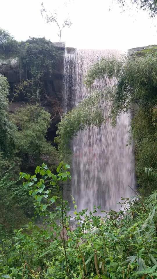 马家岩紫色花树,马家岩宜居