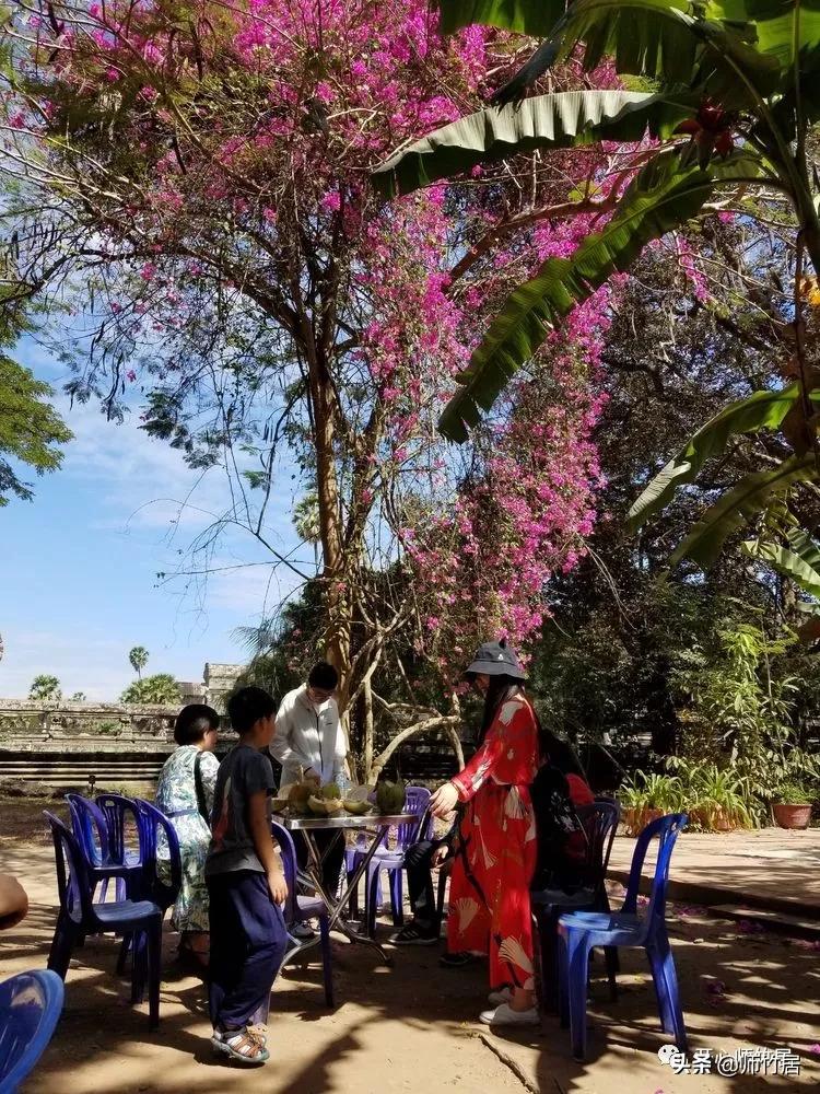 柬埔寨游记600字,柬埔寨游记美篇