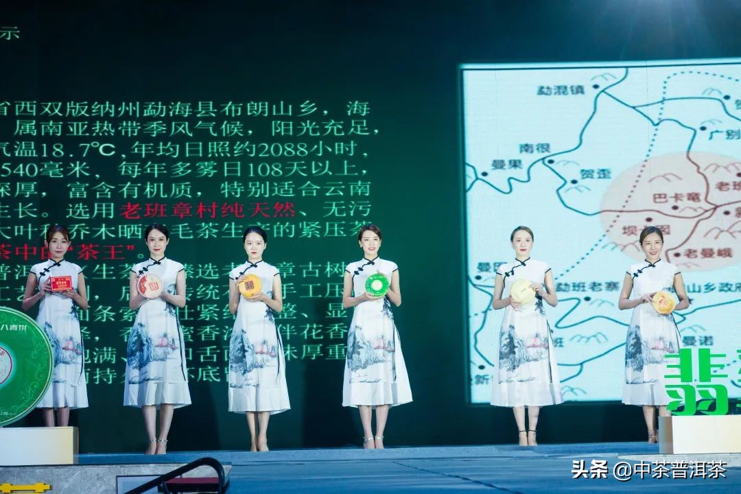 中茶翡翠白菜新品发布会,中茶八八青饼发布