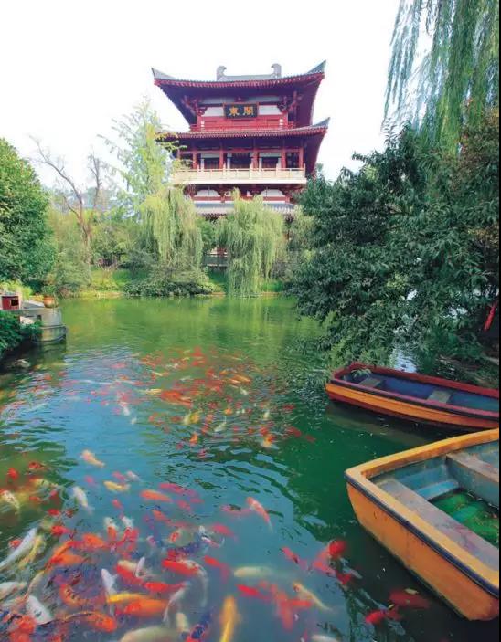 万人过中秋,崇州中秋节去哪里玩