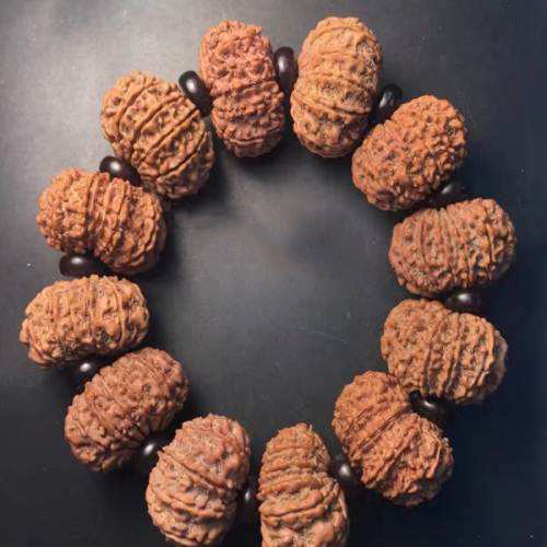 金刚不同阶段的分解图,金刚菩提什么桩型最好