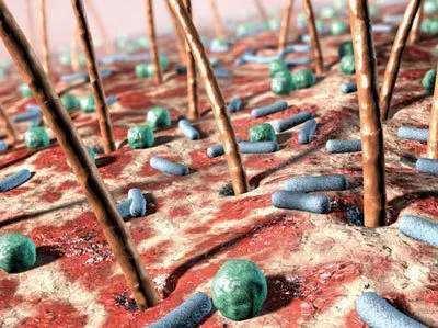 洗澡多了会虚吗,为什么洗澡的时候会变聪明