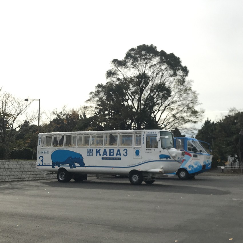 大阪自由行攻略必备清单,闭着眼睛也能随便过关