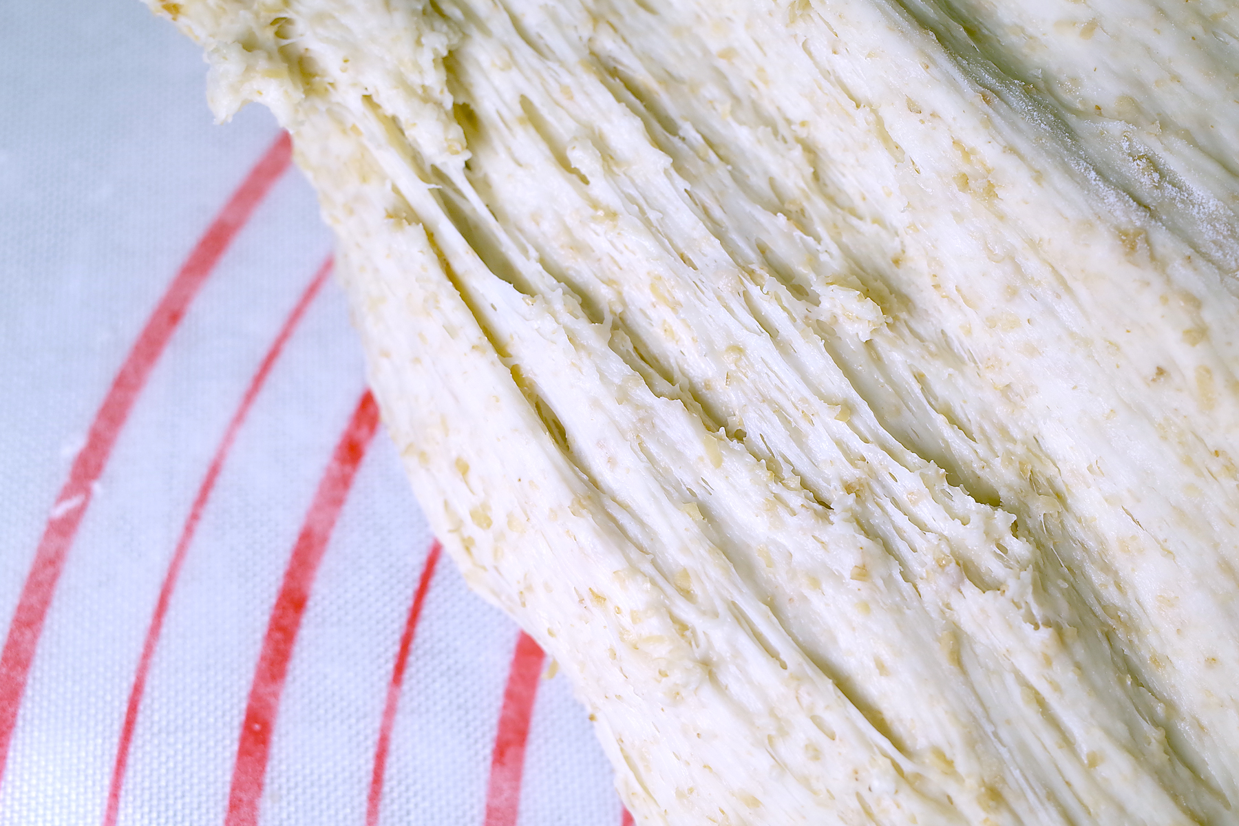 哪种酵母不能买,如果没有酵母该怎么办