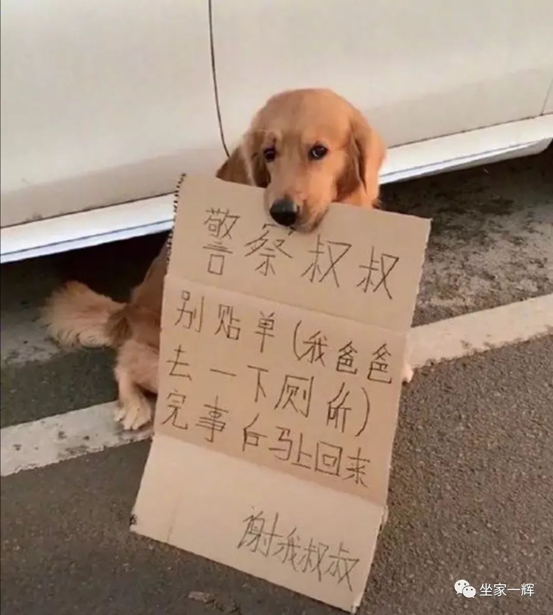 常见的20种网赚骗术揭秘,韭菜有效套路