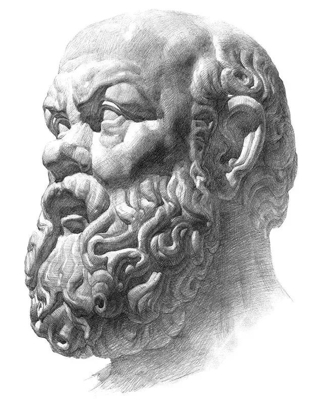 画素描不画脸,画素描总是画不深入