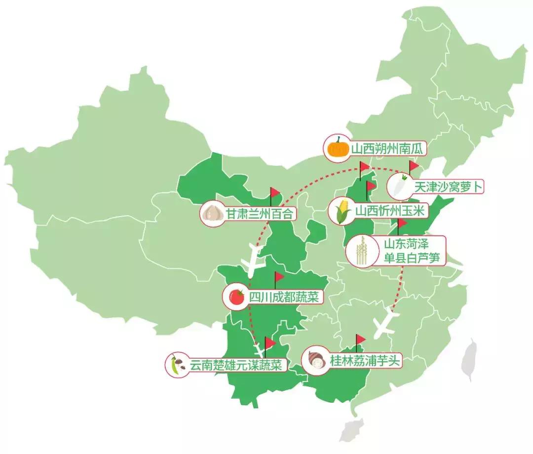 在大自然当中寻找有机蔬菜,为大家采摘绝对新鲜的有机蔬菜