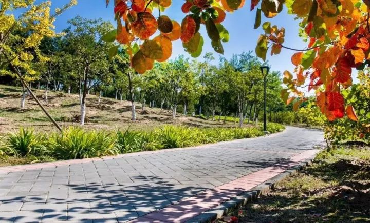 昌平最美的秋景在哪里,北京最美的秋景赏叶胜地香山公园