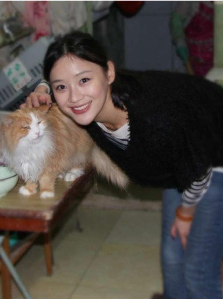 袁姗姗浮沉史,小三上位电视剧袁姗姗