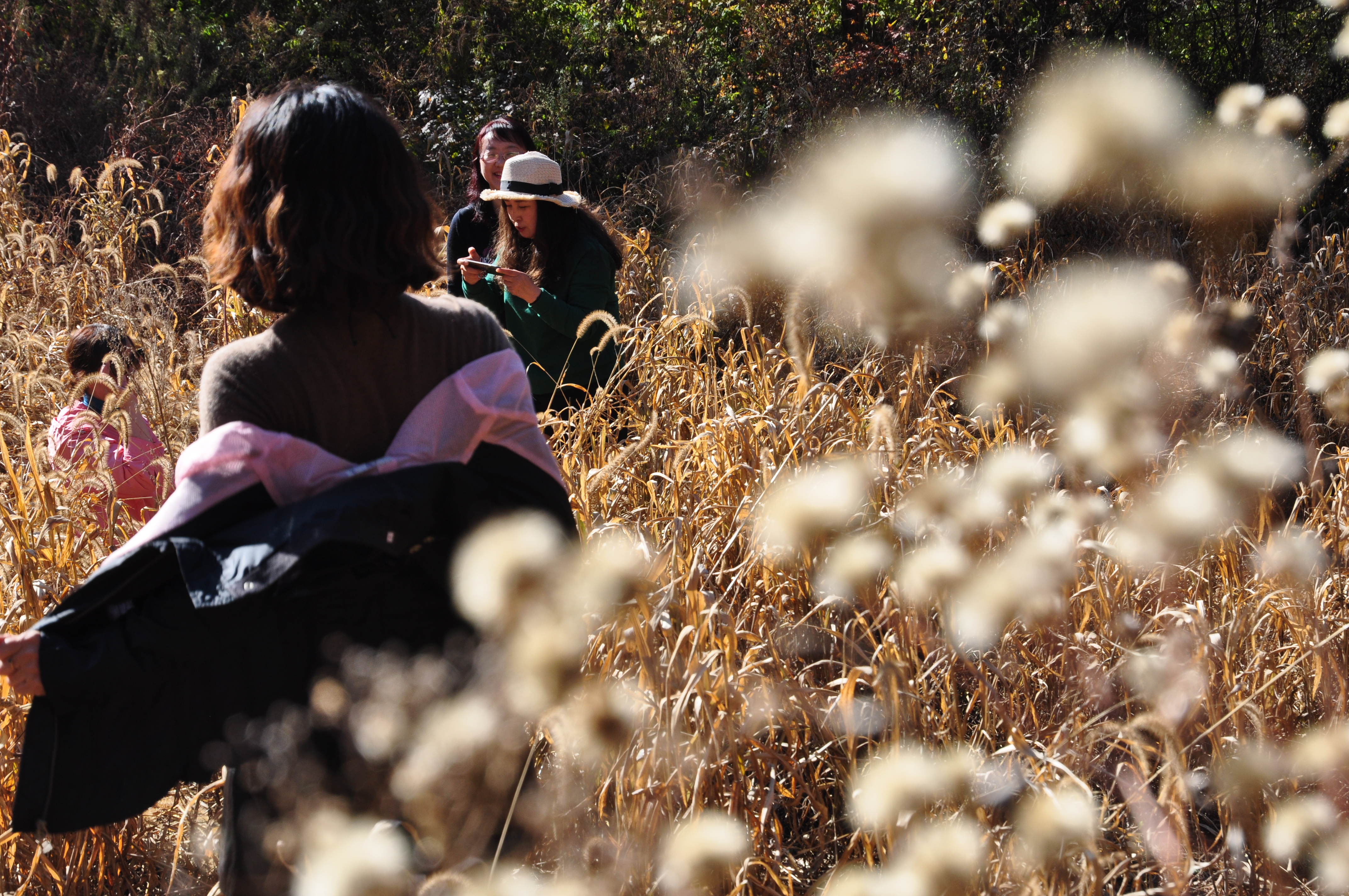 此时的辽宁不进景区照样处处风景，我带5位女同学野山里玩了一天
