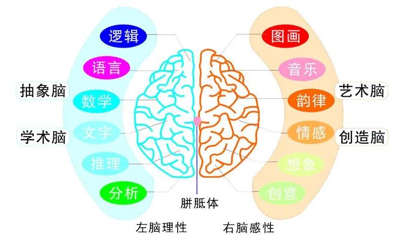 孩子记忆力差注意力不集中怎么办,孩子不专注记忆力差怎么办