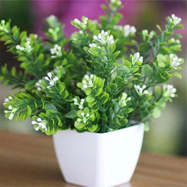 一种“助眠花”，花香清幽、舒人身心，做好这几点、养殖不再难