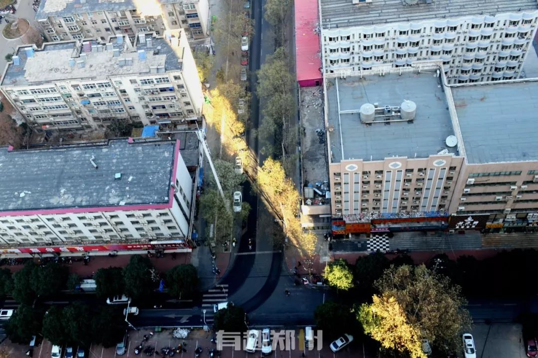 2020年有创意的台历,2020年比较有创意的台历