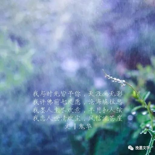 满目山河为故人,满目山河皆故人