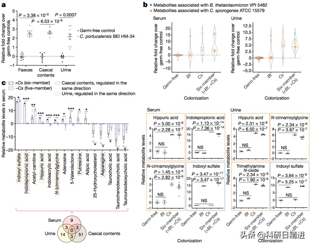 nature肠道菌群的研究 (肠道微生物组最新研究进展)