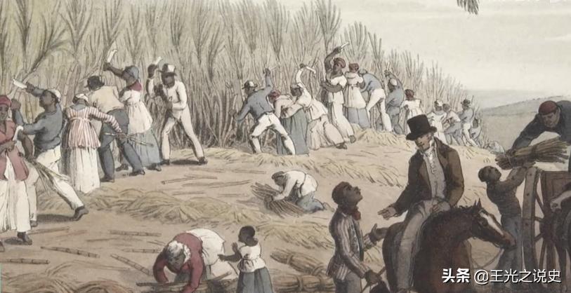 巴西一手好牌打得稀烂,巴西如何把一手好牌打烂