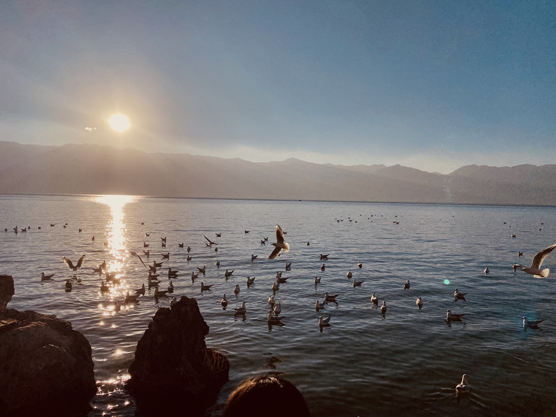 大理洱海电动车环海路线,大理可以租电动车环洱海吗