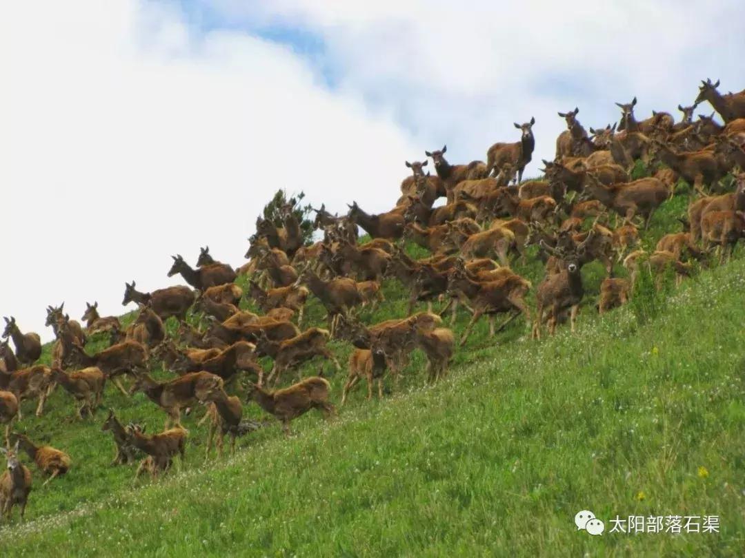 四川漫步茶马古道,四川以西旅游