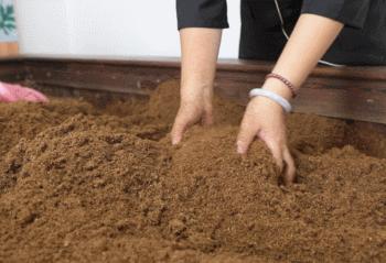 酵素浴最火的视频,爆火的酵素浴体验