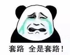 我想领养一只小猫咪,有人想领养一只金色猫咪吗